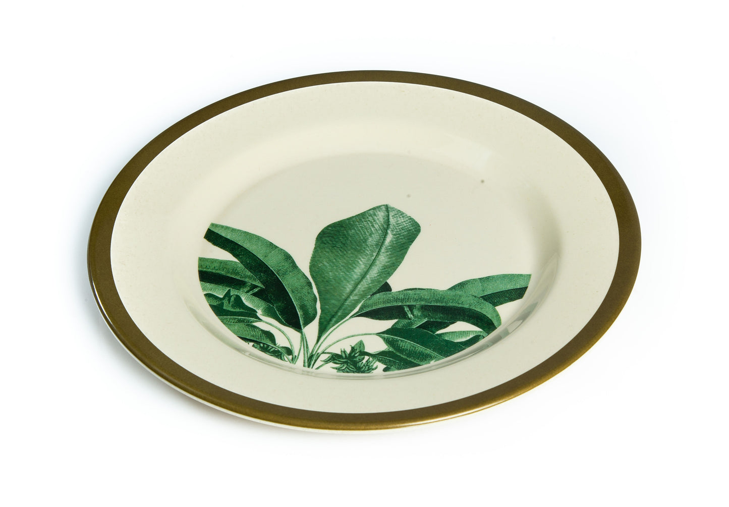 Truly Eco Bamboo Dinner Plates / Plate Sets (Large Plates - 11') - Green Leaf Design - Decor