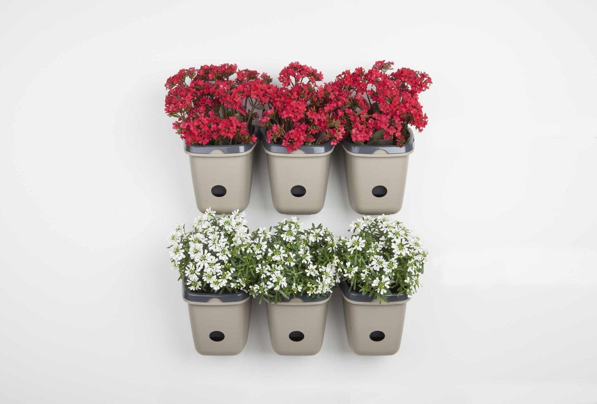 self watering plastic wall planter Self-watering Wall Garden | Best Deals