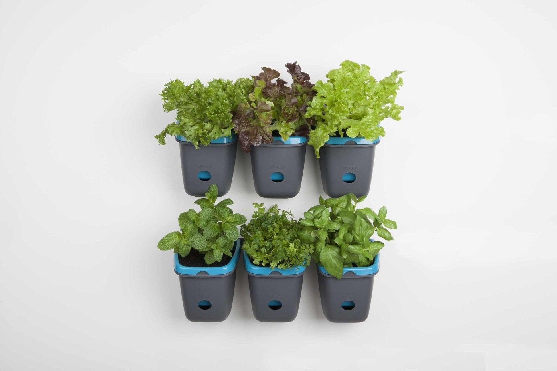 self watering wall planter Self-watering Wall Garden Pewter | Best Deals